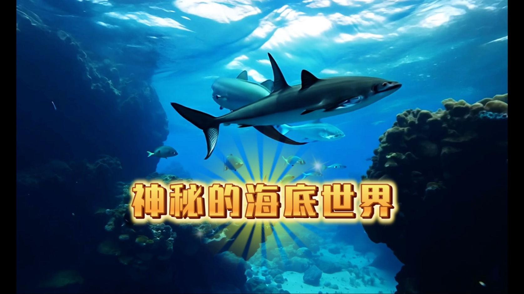 九游登录中心-海底潜水深探，探索神秘的海底世界宝藏的简单介绍
