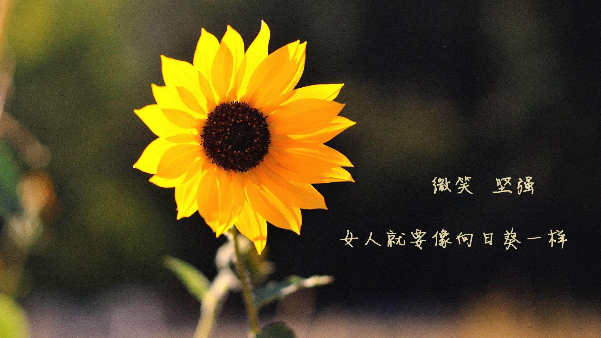 日本队小组赛全胜，晋级无悬念，日本 小组赛