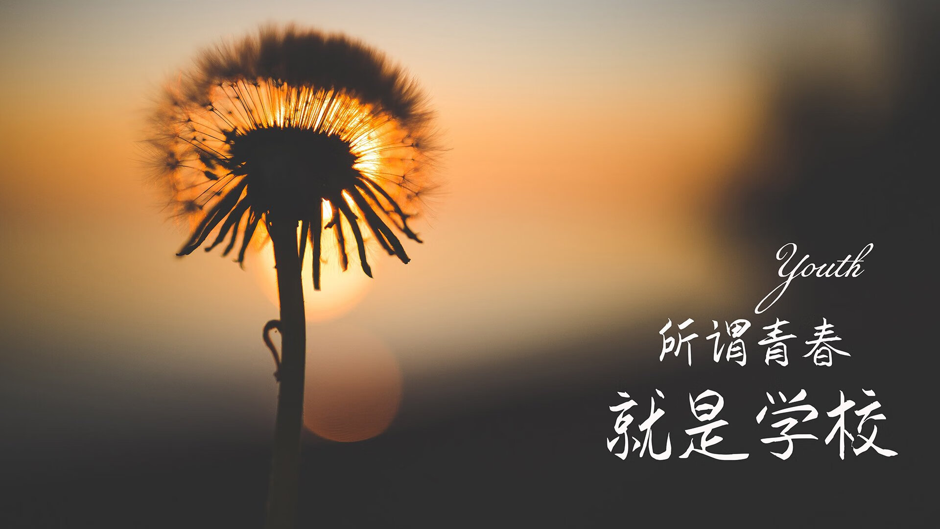 九游(jiuyou)官方网站-墨西哥队备战夏季联赛，测试阵容深度，墨西哥联赛(春季)
