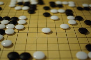 九游APP官网-中国篮球教练员战术执行力培养及技能提升方法，篮球教练战术安排
