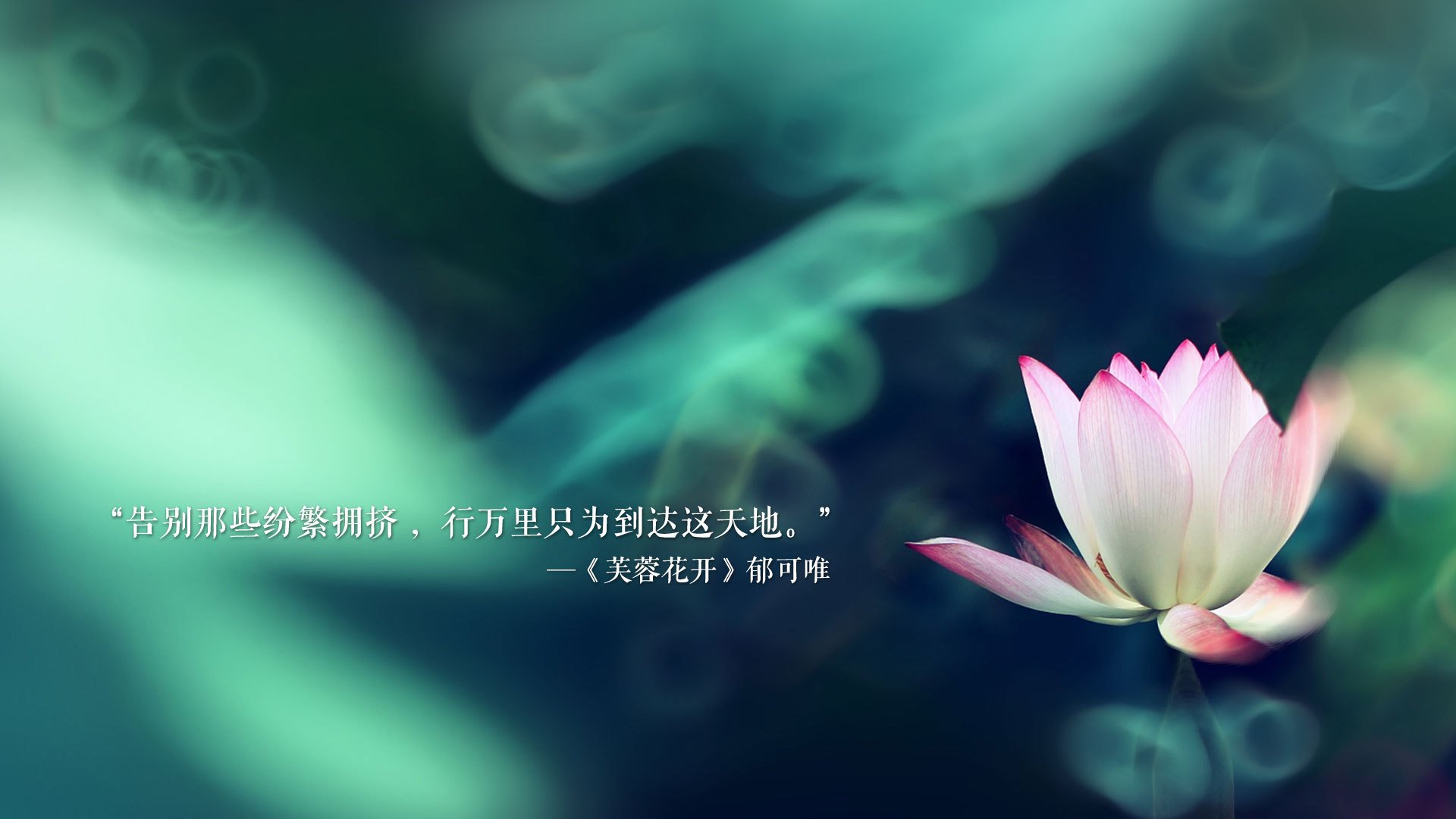 九游游戏中心官网-南非羚羊队：比赛中的绝对主宰，凭借全员的高效发挥实现统治，南非羚羊皮可以带回中国吗