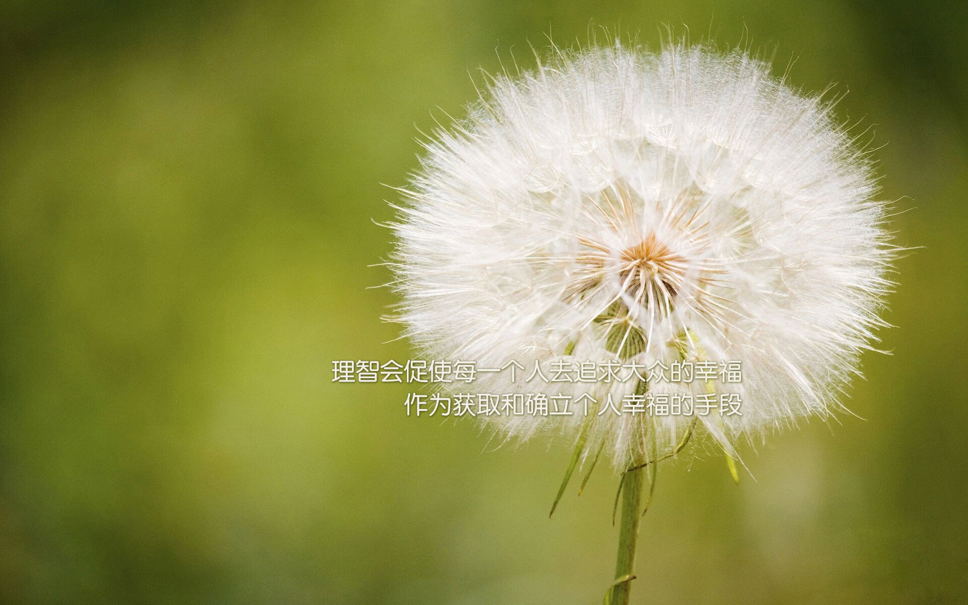 基于云计算的足球数据分析平台正式上线，提升比赛解读深度，足球大数据分析系统