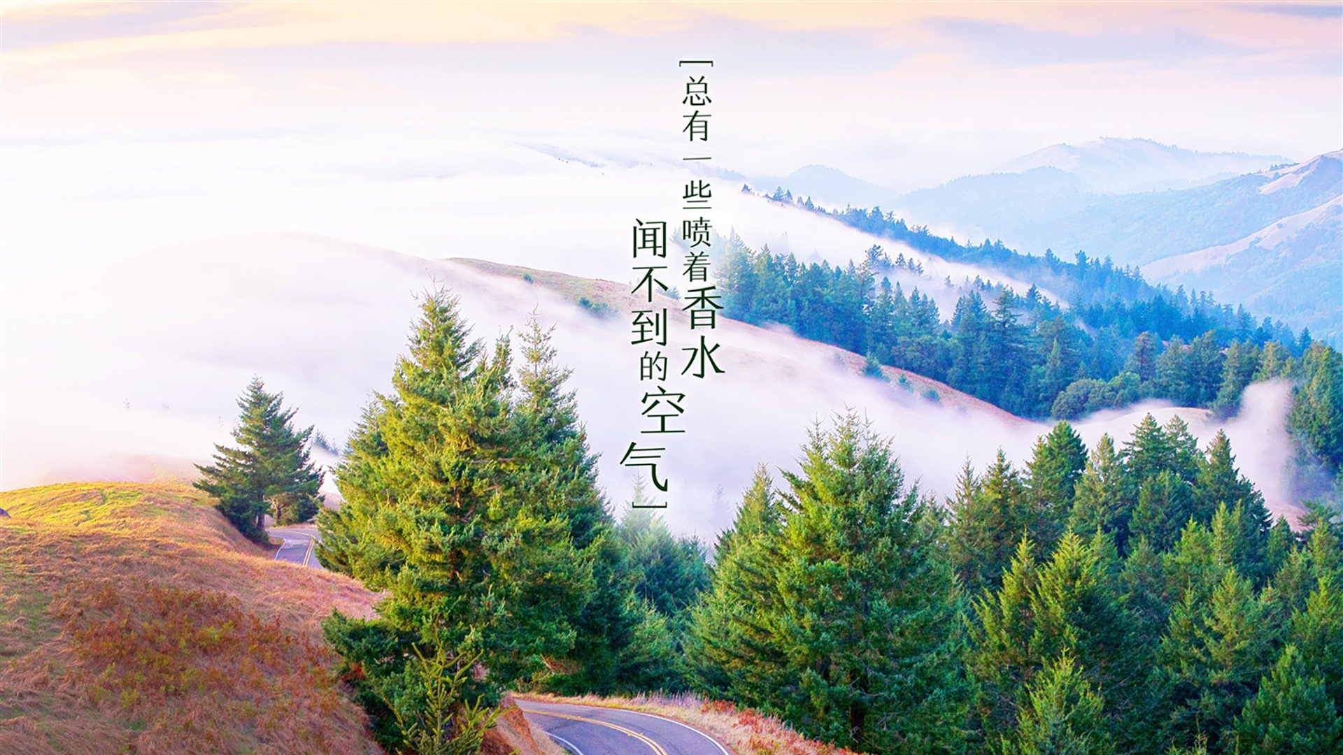 九游下载中心-山东泰山签约新东家中超联赛，2021中超山东泰山阵容