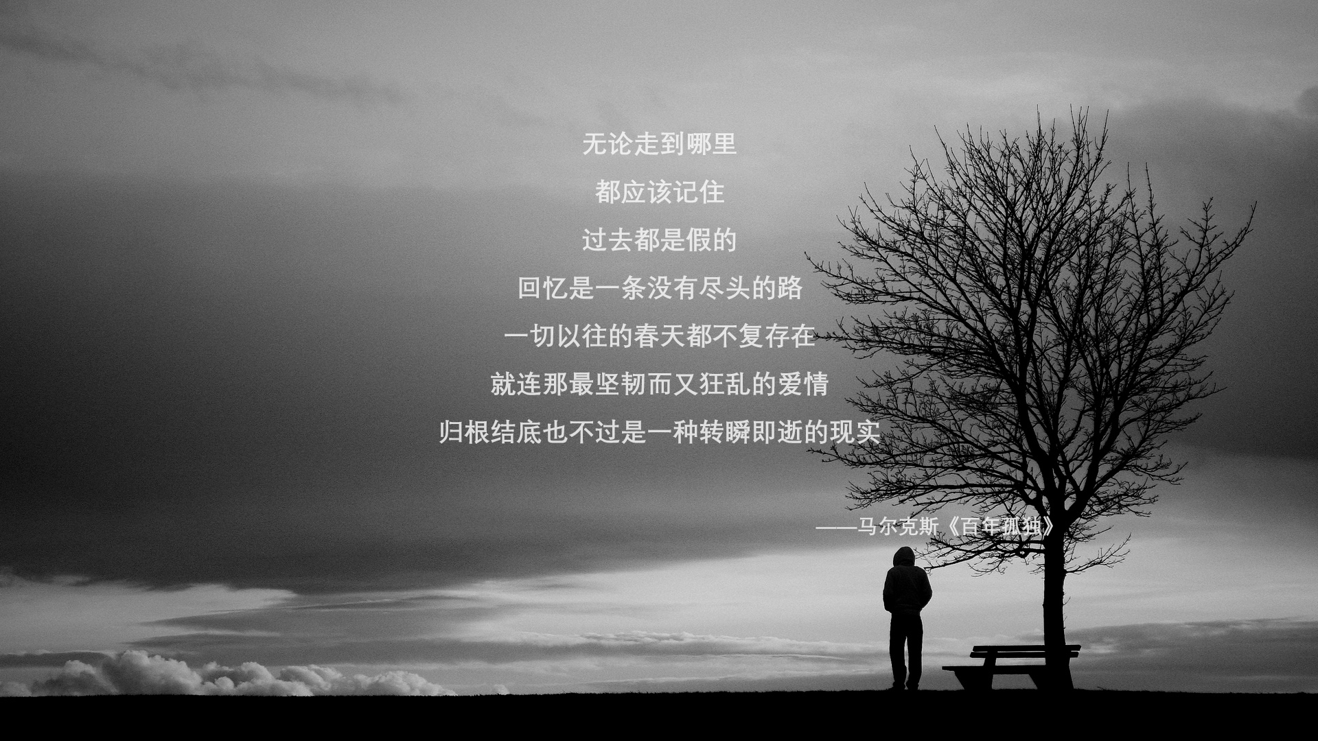 足球世界冠军联赛全球直播，吸引亿万观众热情关注，足球世界比赛视频