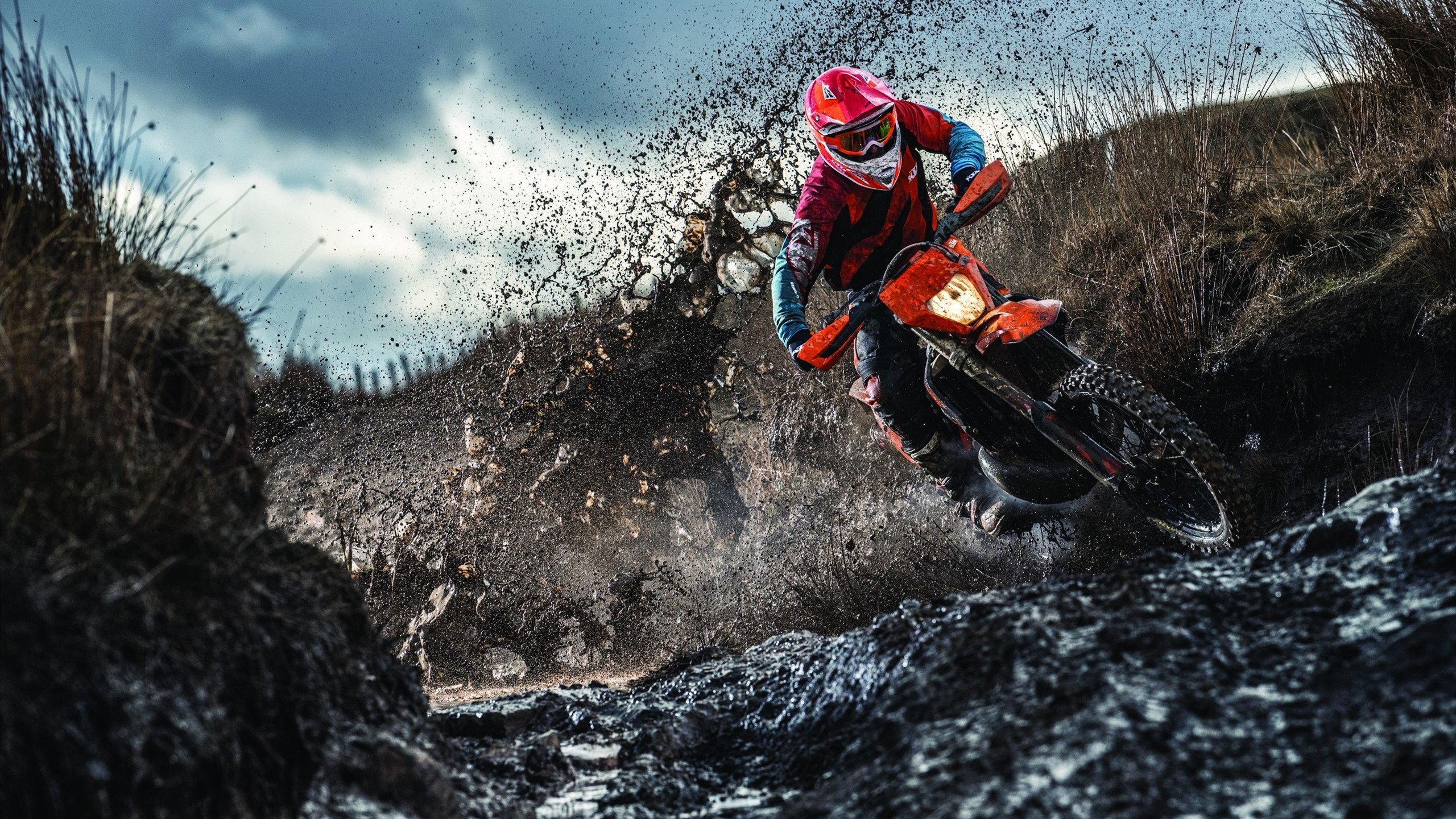 青少年“梦想成长路”在辽宁开启，助推青训体系升级，辽宁青少年素质训练